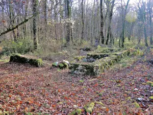 Ruins of Boban farm (© Jean Espirat)