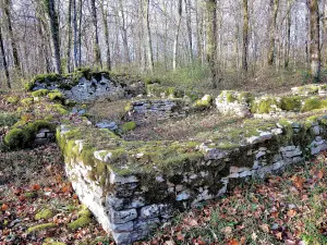 Ruinas Boban granja (© Jean Espirat)