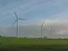 De Windfarm