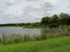Nozay - The Pond Recreation