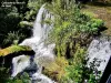 Cascade du moulin du Saut (© Jean Espirat)