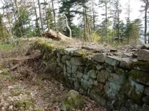 Château du Petit-Ringelstein