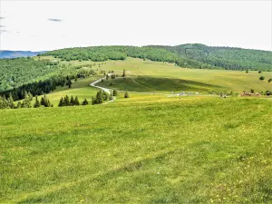 Route des Crêtes, vista desde Trehkopf, cumbre norte de Markstein (© JE)