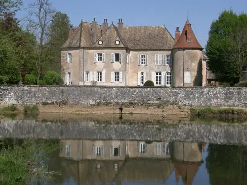 Kasteel van Ollans - Monument in Ollans