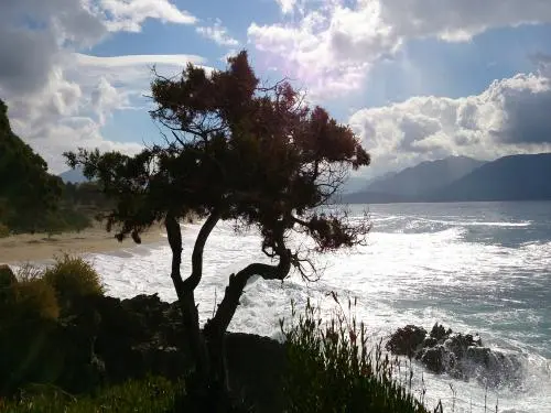 Spiaggia di Scodi-Neri - Luogo di svago a Olmeto