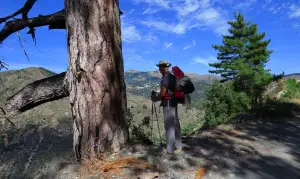 Sur la large piste en face d'Olmi-Cappella