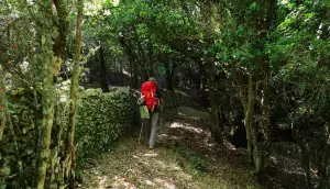 Découverte incroyable des activités humaines dans des endroits tellement isolés