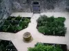 Medieval garden