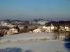 Omps im Schnee