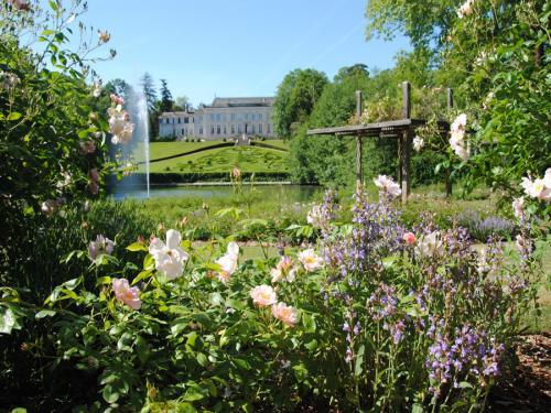Orléans - Roseraie du parc floral de la Source (© J. Danet)
