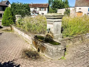 Fontaine-lavoir (© JE)
