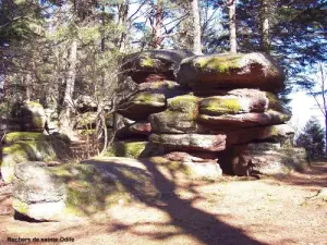 Rocks of Mont Sainte-Odile