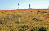 硬い灯台の前の花の土地(©J.E)