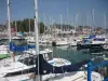 Marina of Paimpol