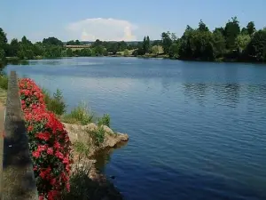 Lake in a green