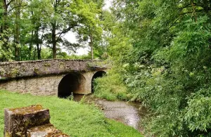 Pont sur la Cosanne