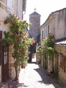 Rue des Hospitaliers de St. Jean de Jerusalem