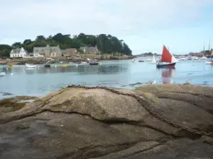 Sailboats, harbor Ploumanac