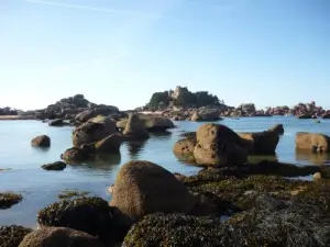 Rocks, Bastille beach en Ploumanac'h