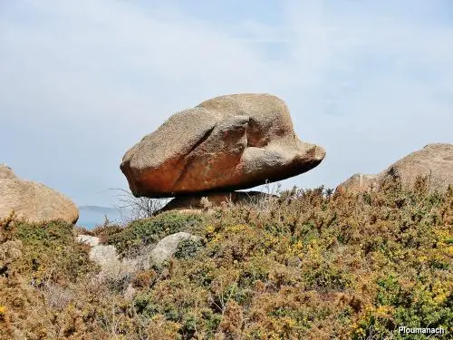 Perros-Guirec - Ploumanac'h - Démonstration d'équilibre (© J.E)