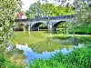 Pesmes - Bridge over the Ognon (© J.E)