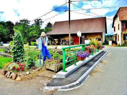 Petitefontaine - floral Bridge ( © Jean Espirat )