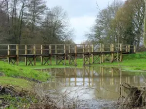 Passerelle zone humide