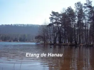 Pond Hanau