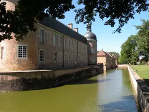 Château de Pierre-de-Bresse - Les douves