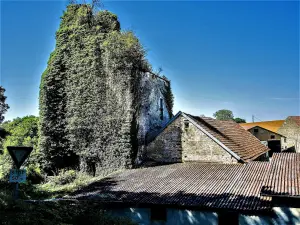 Rovine del campanile della chiesa abbaziale dell'ex comanderia di Aumonières (© J.E)