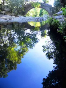 Plan d'eau du Guadubughju et son pont génois