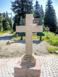 Kruis bij Col du Calvaire (© JE)