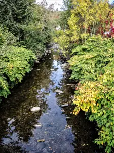 The Rahin, upstream of the bridge (© J.E)