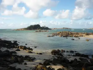 Island Tanguy since Bringuiller