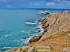 Pointe du Raz (© J.E)