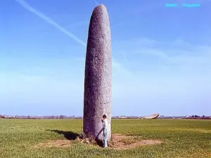 Menhir de Kergadiou - 8,75 m hors sol (© J.E)