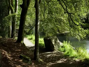 Promenade du Bois d 'Amour