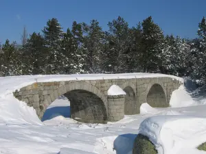 Pont du Tarn en hiver