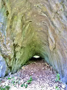 Bottom of the large upper south cave, numbered 2 (© JE)