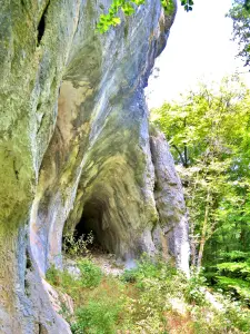 Upper cave, east side, numbered 7 (© JE)