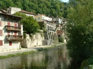 Suspended houses