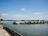 on the Rhone Bridge