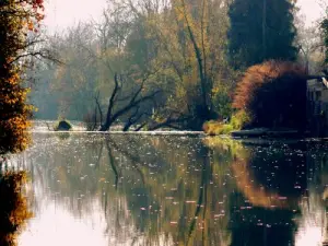 Otoño en el Saône