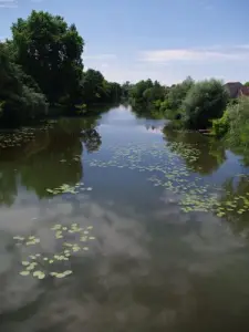 La Saône a Pontailler aguas abajo del puente