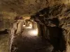 Pequeña galería de la Cueva de los gorriones - Pontoise