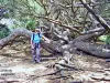 cala del pino de la langosta (© JE)