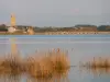 Port-Bail-sur-Mer - Guía turismo, vacaciones y fines de semana en La Mancha