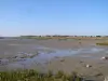 Port-des-Barques - Bottom of the bay at Piedemont - Port-des-Barques