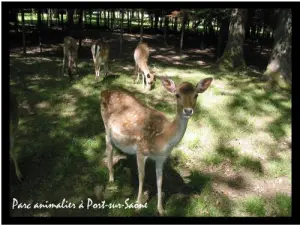 Animal park on the island of Maladière