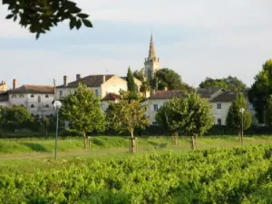 Portets en wijngaarden
